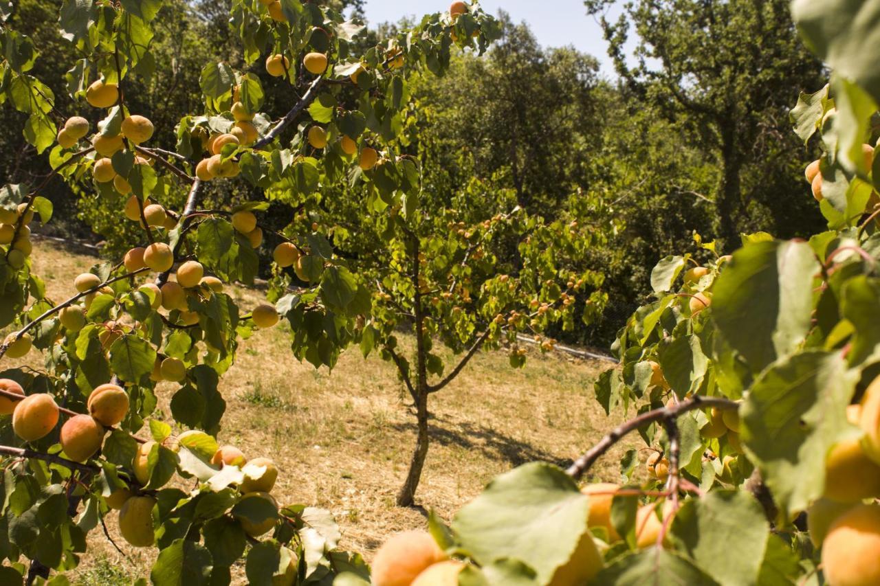 Agriturismo Aia Leccioni Micciano Esterno foto
