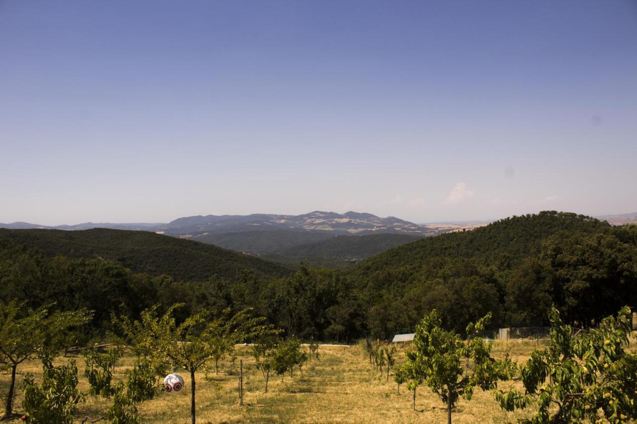 Agriturismo Aia Leccioni Micciano Esterno foto