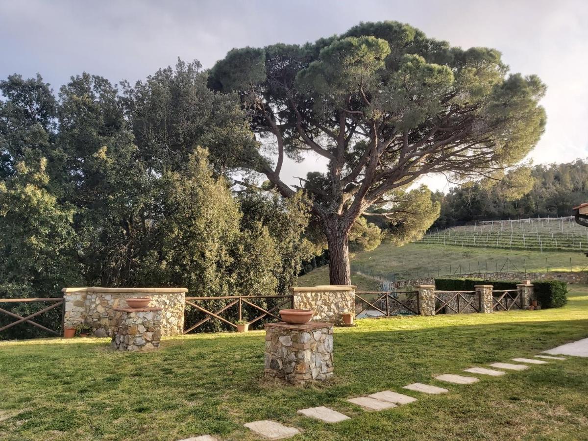 Agriturismo Aia Leccioni Micciano Esterno foto