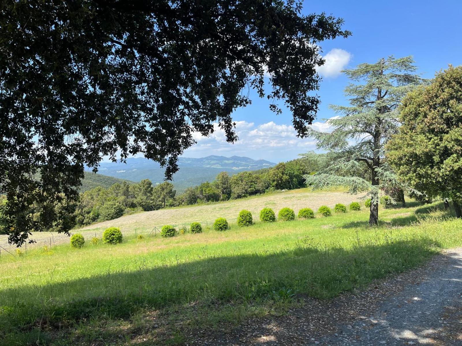 Agriturismo Aia Leccioni Micciano Esterno foto