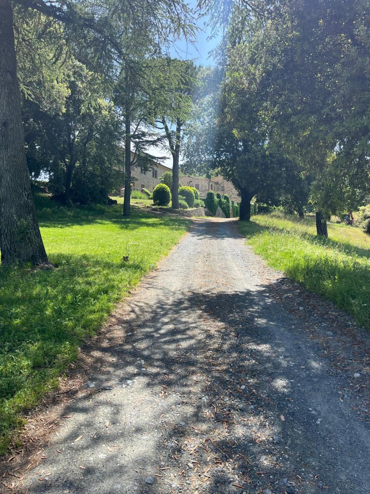 Agriturismo Aia Leccioni Micciano Esterno foto